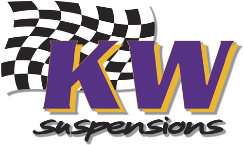 KW MINI Cooper Suspension, Shocks, Struts